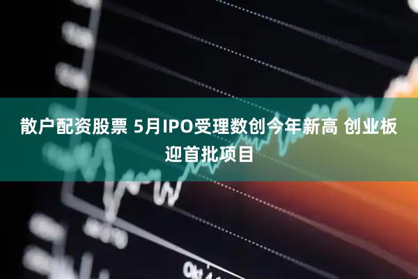 散户配资股票 5月IPO受理数创今年新高 创业板迎首批项目