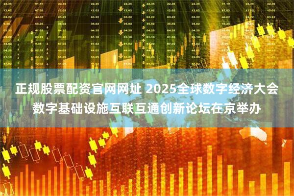 正规股票配资官网网址 2025全球数字经济大会数字基础设施互联互通创新论坛在京举办