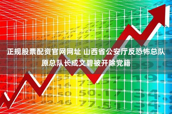 正规股票配资官网网址 山西省公安厅反恐怖总队原总队长成文碧被开除党籍