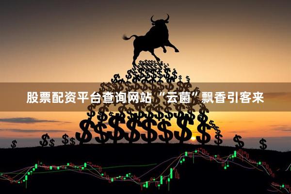 股票配资平台查询网站 “云菌”飘香引客来