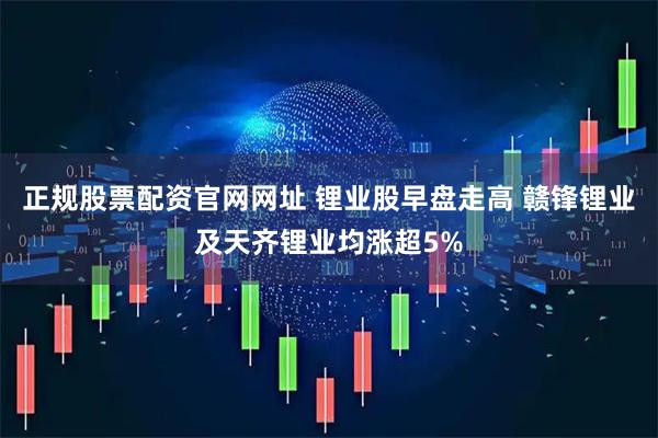 正规股票配资官网网址 锂业股早盘走高 赣锋锂业及天齐锂业均涨超5%
