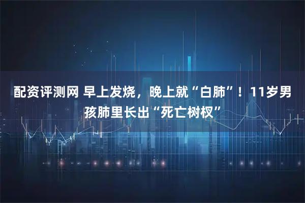 配资评测网 早上发烧，晚上就“白肺”！11岁男孩肺里长出“死亡树杈”